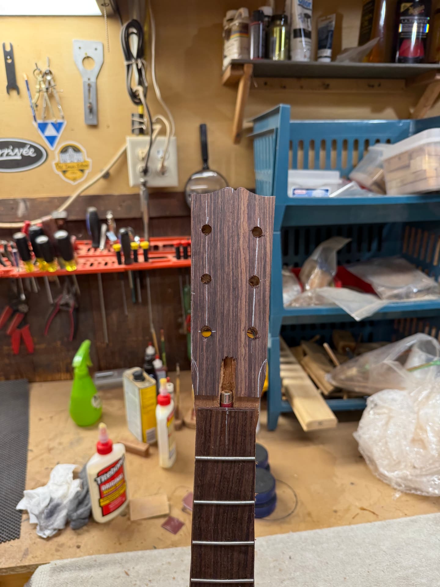 Varnished headstock with holes drilled for the string posts