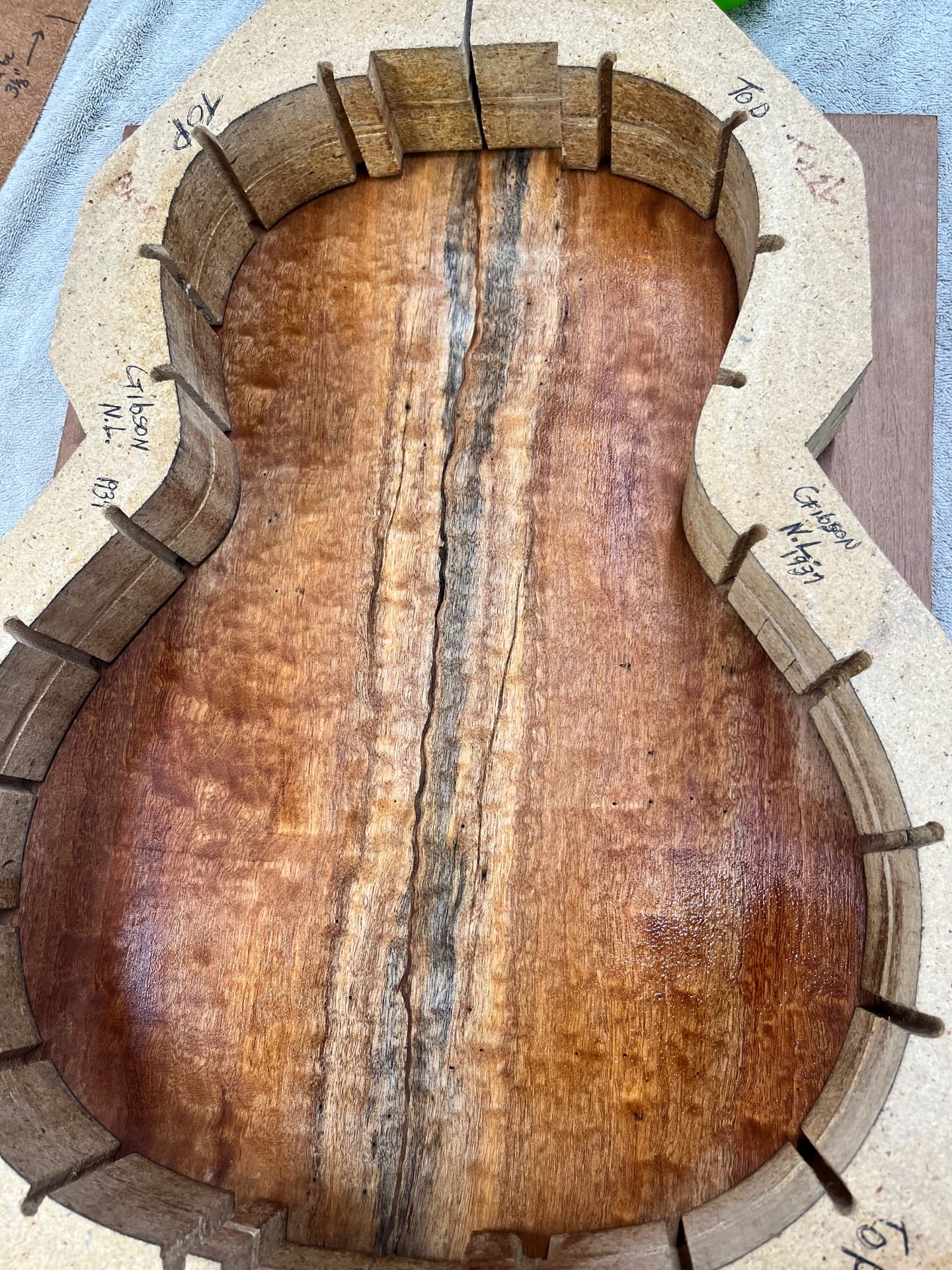 Sapele back inside the body mold with the sides bent around it